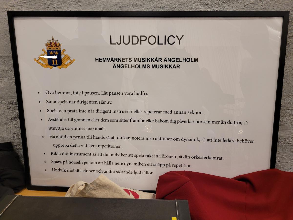 Ljudpolicy